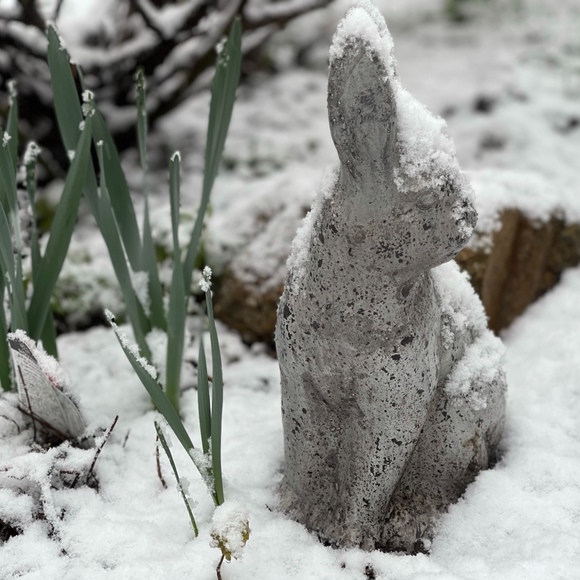 Meet your Posher, Posh - Picture 1 of 1